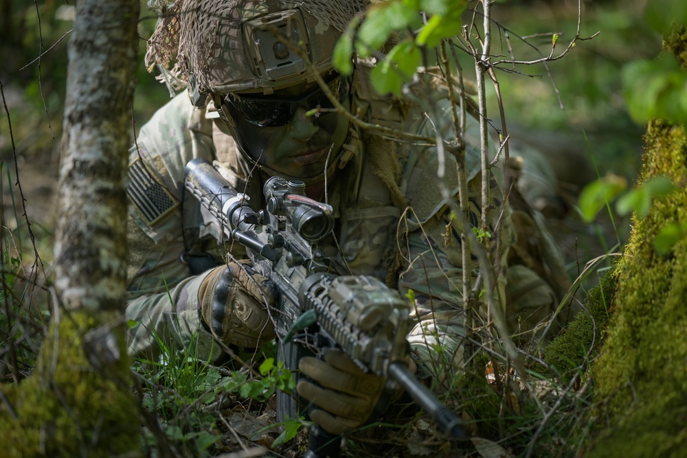 1-91 CAV, 173rd AB live fire exercise