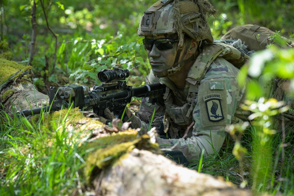 1-91 CAV, 173rd AB live fire exercise