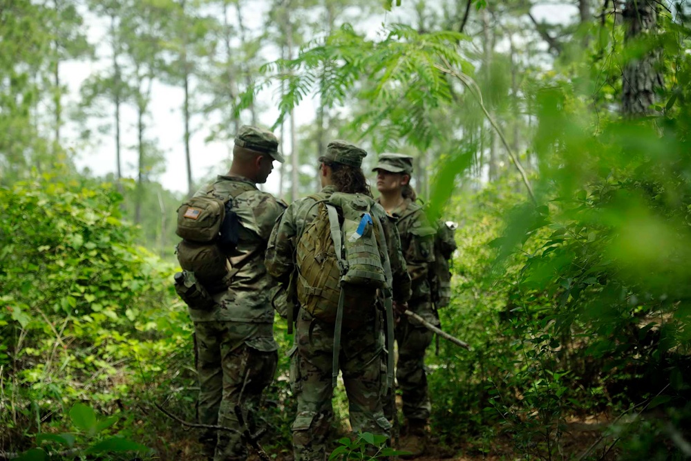 61st Troop Command Annual Training 2024