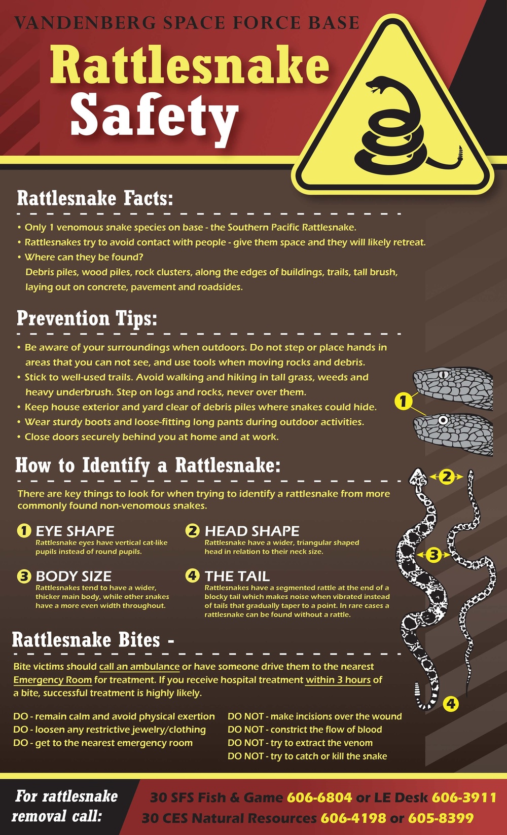 Rattlesnake Safety Graphic