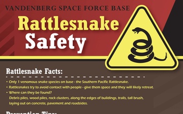 Rattlesnake Safety Graphic