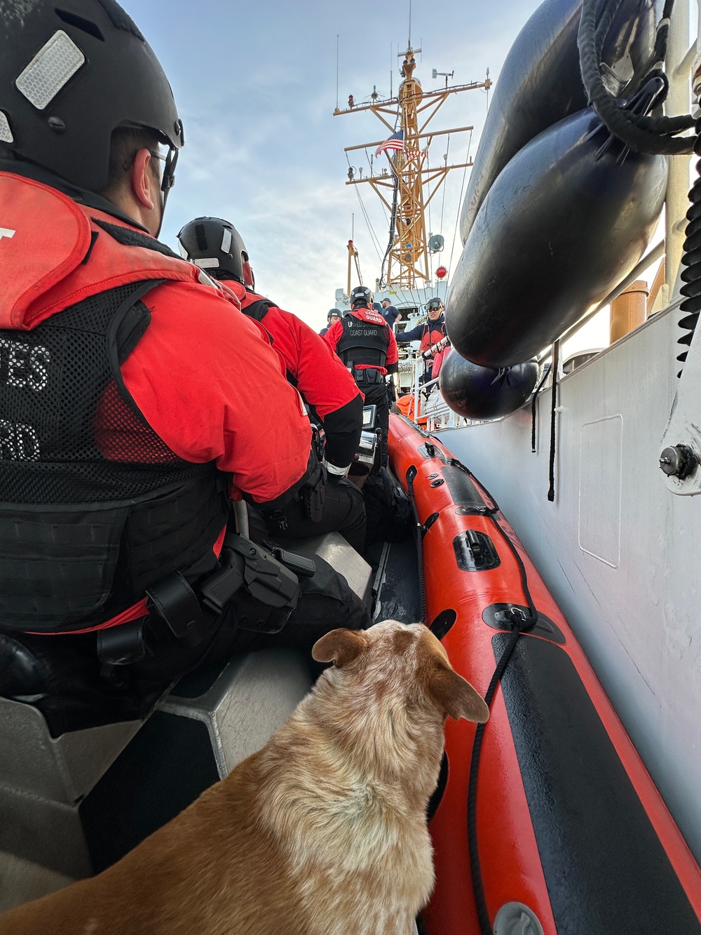 Coast Guard Cutter Adelie crew rescues man and dog after fishing vessel sinks near Henry Island, Washington