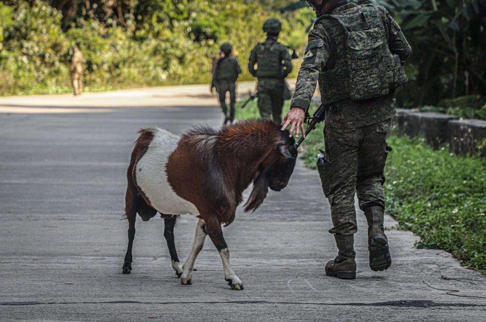 Balikatan 24: 2nd Battalion, 27th Infantry Regiment, 3rd Infantry Brigade Combat Team, 25th Infantry Division conducts reconnaissance operations with 1st Battalion, The Royal Australian Regiment