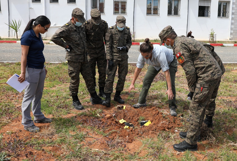 Members of the Joint Theater Forensic Analysis Center train Tunisian Armed Forces at a simulated bomb site at African Lion 2024