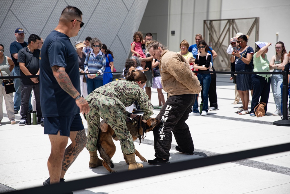 U.S. Navy Sailors demonstrate security forces K-9 handling Fleet Week Miami 2024