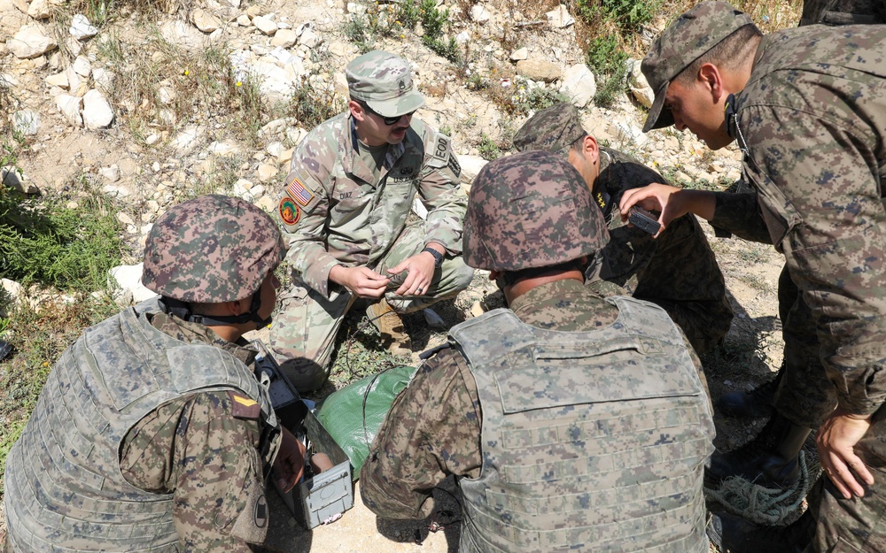 DVIDS - Images - 192nd Ordnance Battalion conducts EOD training at ...