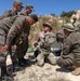 192nd Ordnance Battalion conducts EOD training at African Lion 2024