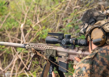 Balikatan 24: Recon Co. Snipers Sight In