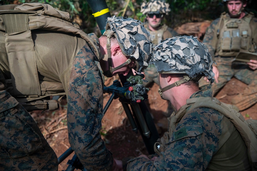 Balikatan 24: Call for Fire Rehearsal with 81s