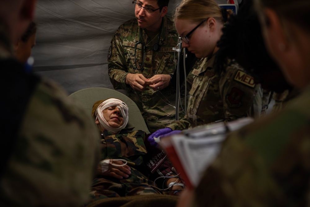 NATO Allies and partners undertake scenarios during Vigorous Warrior 24