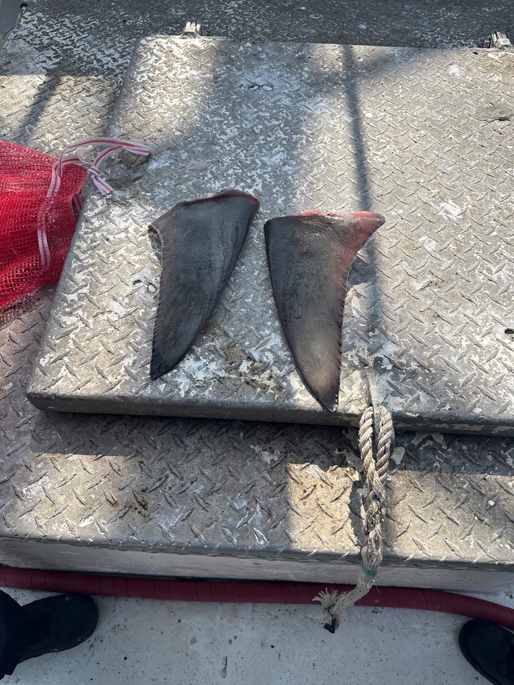 Coast Guard conducts 13 fisheries boardings, issues 25 violations off Texas coast