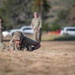 2024 Region VII Best Warrior Competition- Physical Assessment