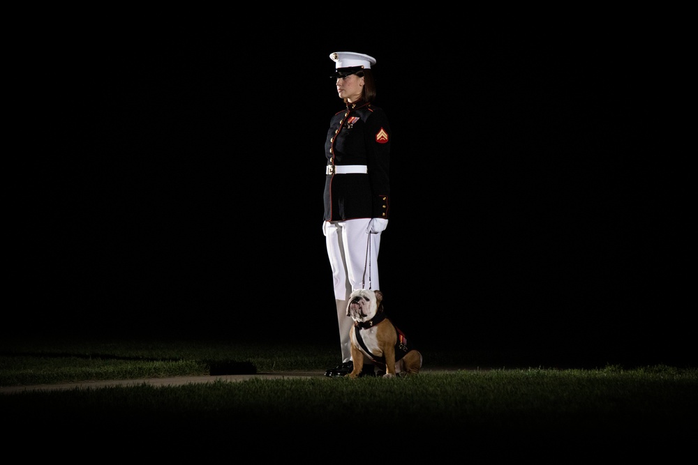 First Parade Under the Lights