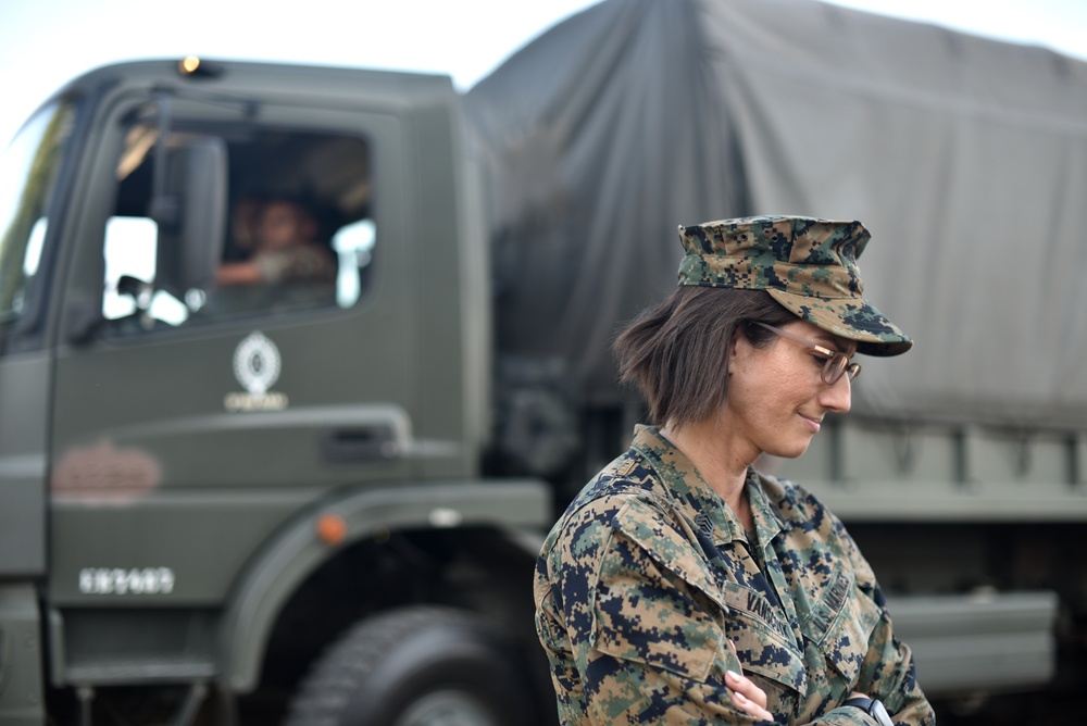 U.S. Marines exchange best practices with Brazilian Naval Infantry during Expeditionary Airfield Exercise