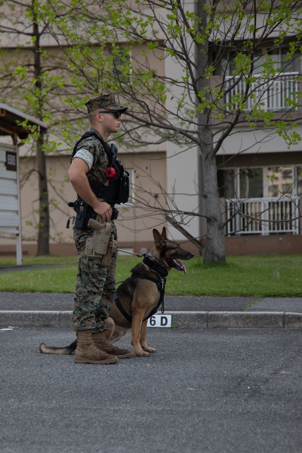 Training for Success! Working Dog Handlers and Special Reaction Team perform training at Marine Corps Air Station Iwakuni, Japan