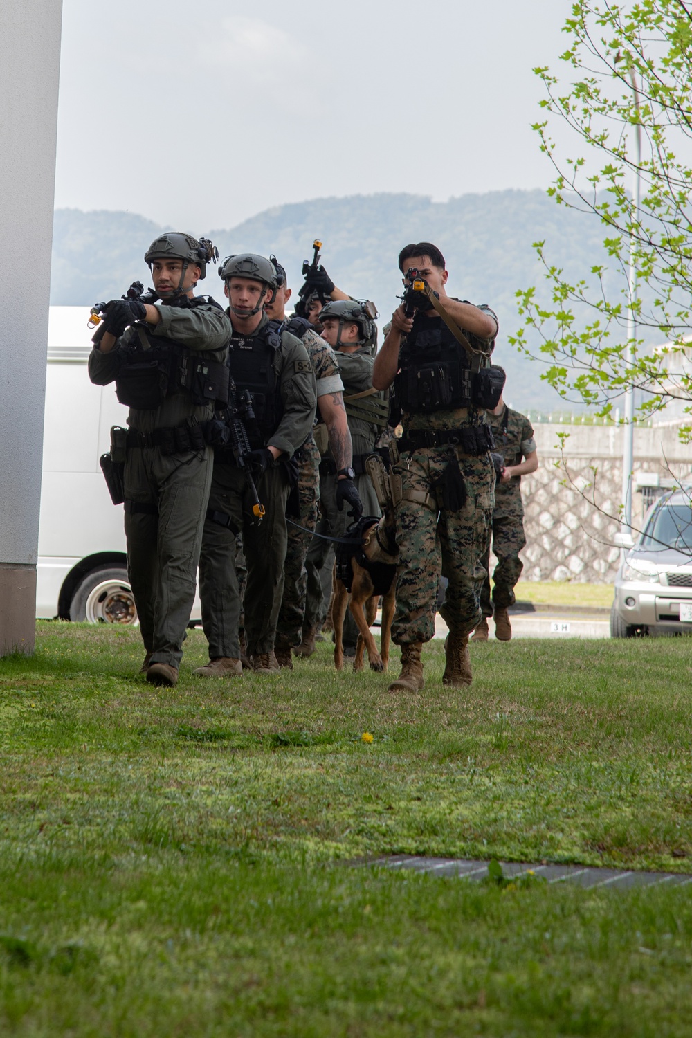 Training for Success! Working Dog Handlers and Special Reaction Team perform training at Marine Corps Air Station Iwakuni, Japan