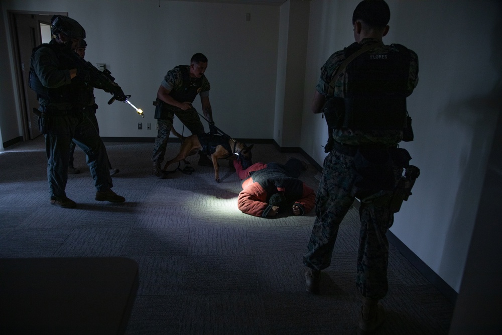 Training for Success! Working Dog Handlers and Special Reaction Team perform training at Marine Corps Air Station Iwakuni, Japan