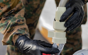 MRF-D 24.3: U.S. Navy entomologist collects bacteria samples in PNG
