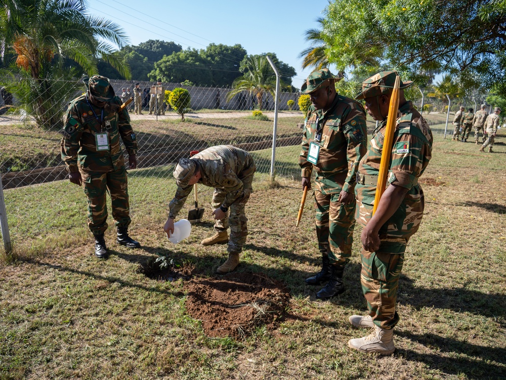 African Land Forces Summit 2024 participants plant trees