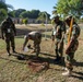 African Land Forces Summit 2024 participants plant trees