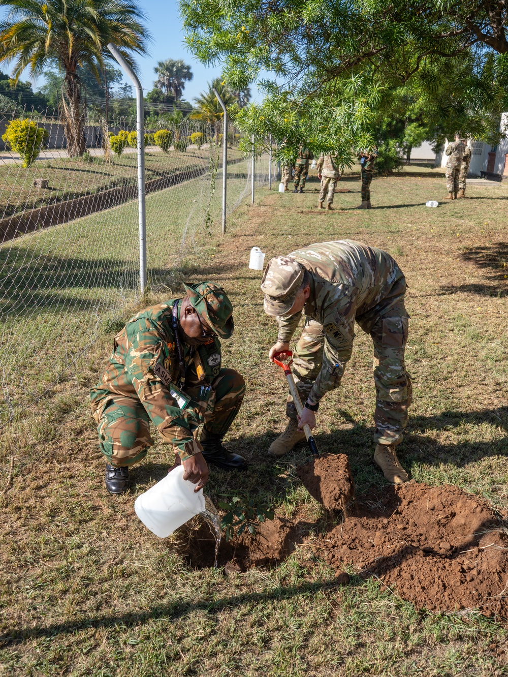 African Land Forces Summit 2024 participants plant trees