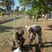 African Land Forces Summit 2024 participants plant trees