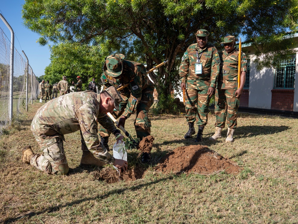 African Land Forces Summit 2024 participants plant trees