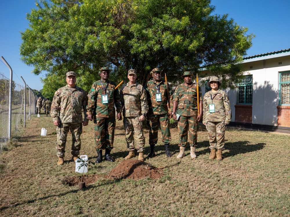 African Land Forces Summit 2024 participants plant trees