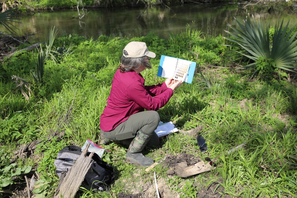 Regulatory Specialist assesses wetlands