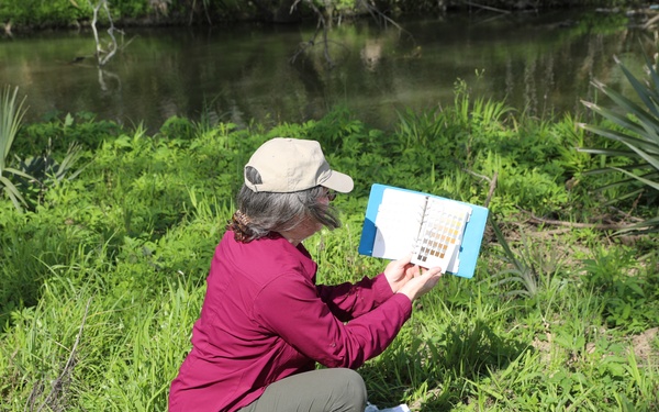 Regulatory Specialist assesses wetlands