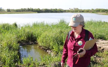 Regulatory Specialist assesses wetlands