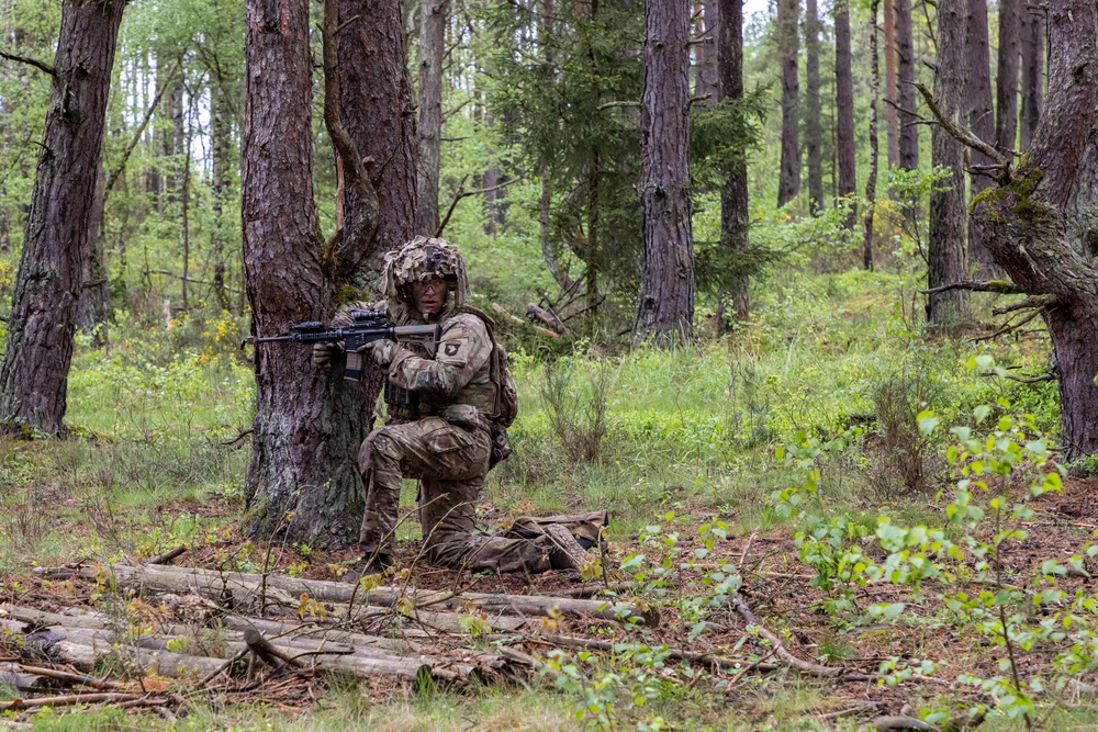 1st Battalion, 187th Infantry Regiment Participates in CALFEX