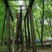 Maryland Army National Guard Soldier navigates obstacle course during Region 2 Best Warrior Competition 2024