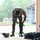 Soldier from Pennsylvania Army National Guard Dons Riot Gear Equipment