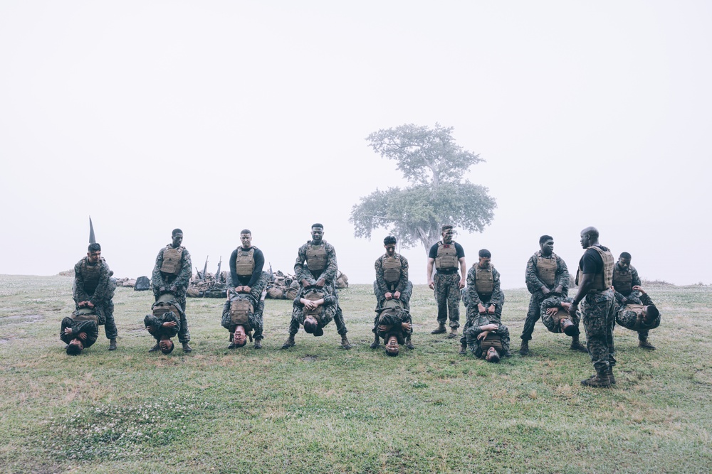 Clearing the Fog – MAIC 72-24