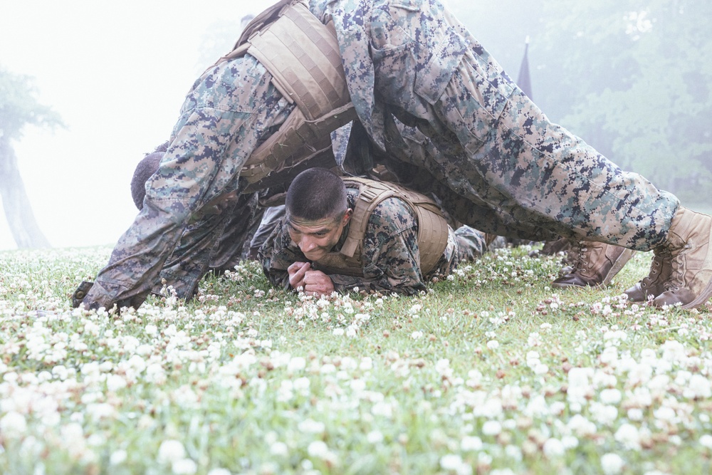 Clearing the Fog – MAIC 72-24