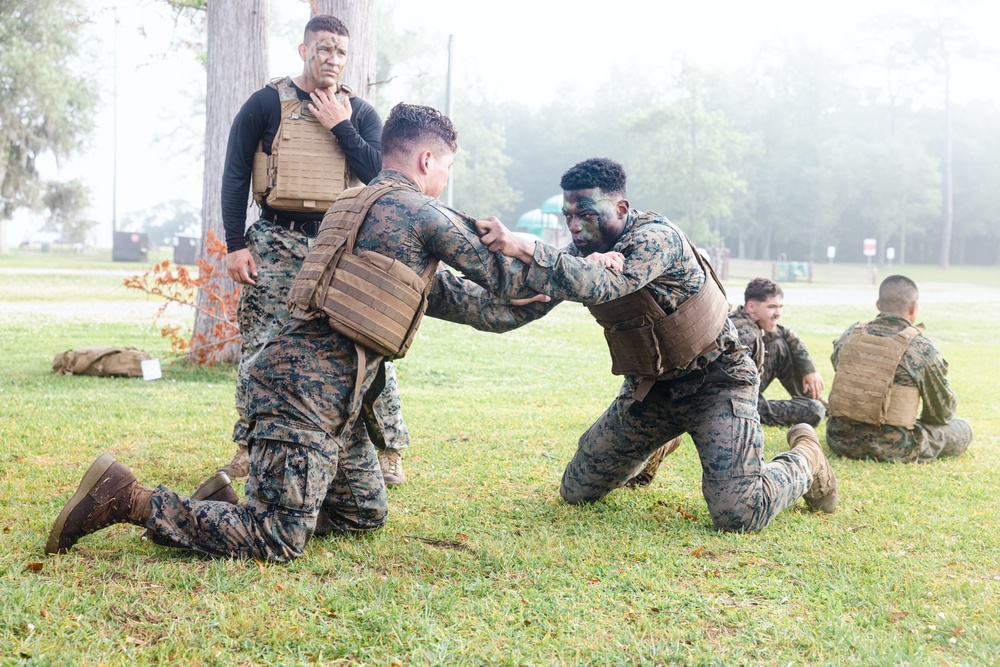 Clearing the Fog – MAIC 72-24