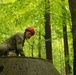 Pennsylvania Army National Guardsman participates in obstacle course as part of Region II Best Warrior Competition 2024