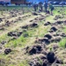 Tree planters were abundant for Fort McCoy’s 2024 Arbor Day celebration; hundreds of trees planted