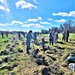 Tree planters were abundant for Fort McCoy’s 2024 Arbor Day celebration; hundreds of trees planted