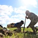 Tree planters were abundant for Fort McCoy’s 2024 Arbor Day celebration; hundreds of trees planted