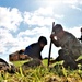 Tree planters were abundant for Fort McCoy’s 2024 Arbor Day celebration; hundreds of trees planted