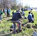 Tree planters were abundant for Fort McCoy’s 2024 Arbor Day celebration; hundreds of trees planted