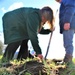 Tree planters were abundant for Fort McCoy’s 2024 Arbor Day celebration; hundreds of trees planted