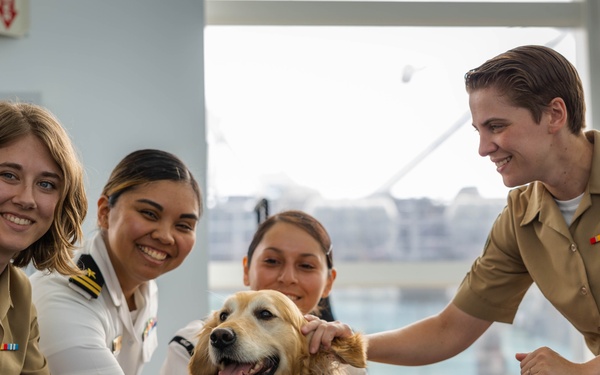 Jax the Dog Visits Fleet Week Miami 2024 Media Operations Center
