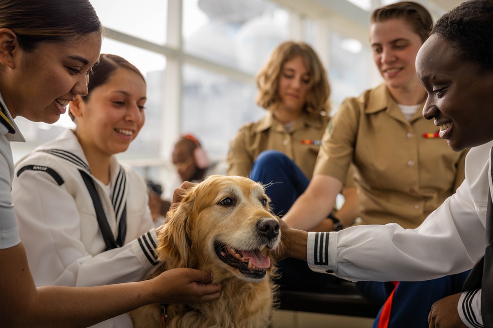 Jax the Dog Visits Fleet Week Miami 2024 Media Operations Center