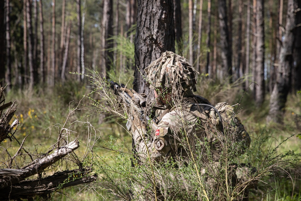 Royal Army Danish soldiers train in GTA