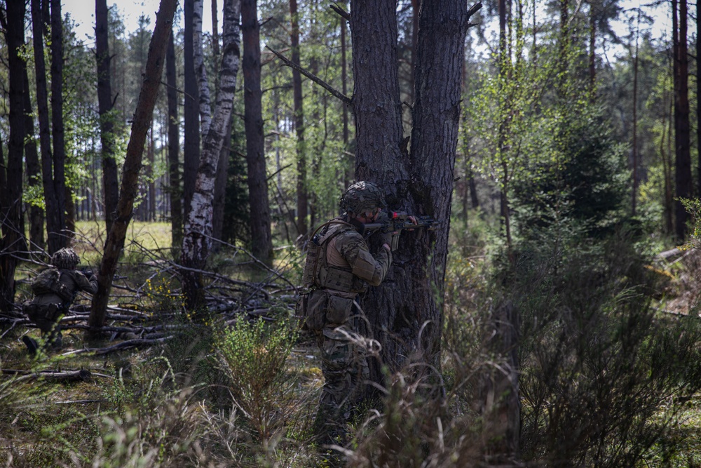 Royal Army Danish soldiers train in GTA