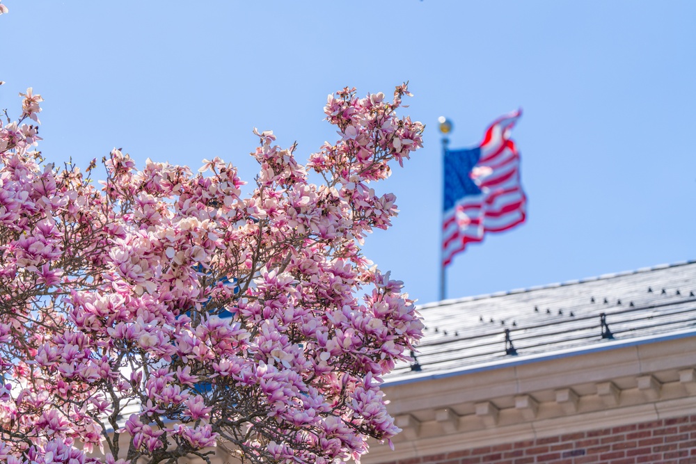 Springtime at the Coast Guard Academy