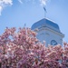 Springtime at the Coast Guard Academy